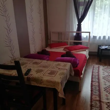Universitate Bucarest